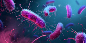 Antibiorésistance : une découverte belge ouvre la voie à de futurs antibiotiques