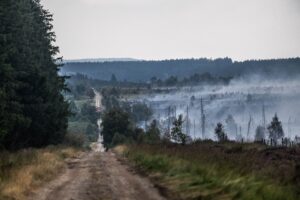 Incendies dans les Hautes Fagnes